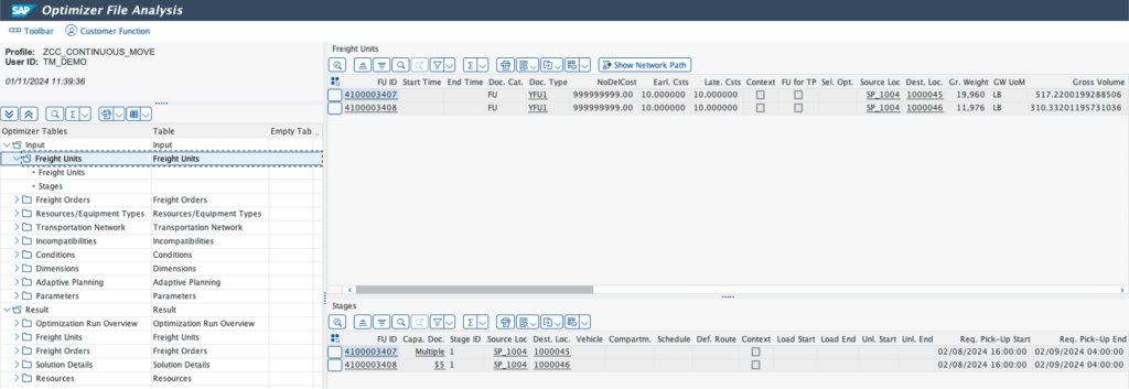 Detailed input data in optimizer file analysis